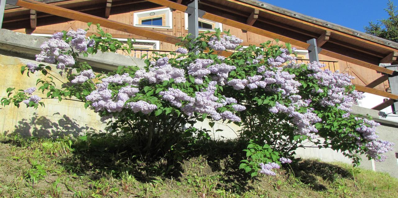 Hotel Duc De Rohan Livigno Exterior photo